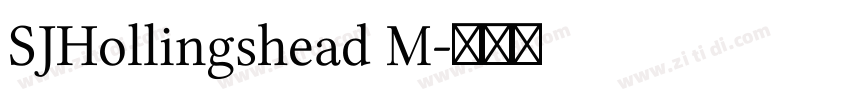 SJHollingshead M字体转换